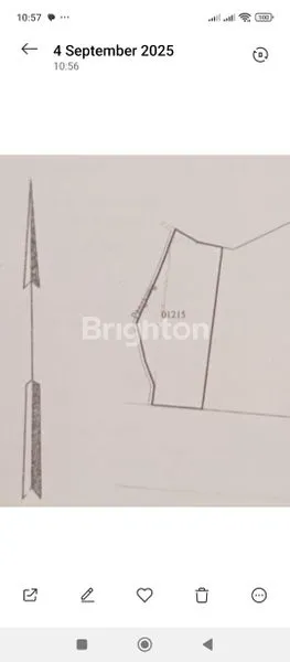 image DI SEWAKAN TANAH  (5)