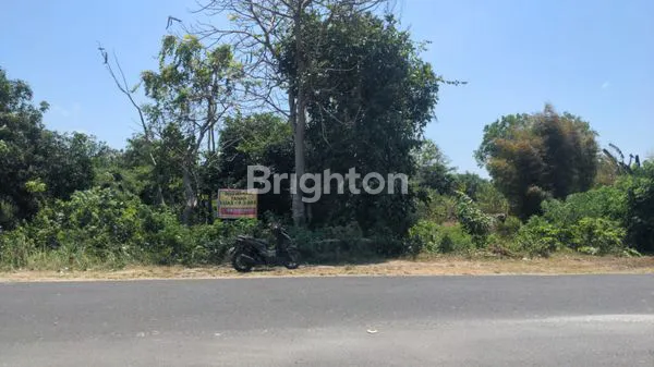 image DI SEWAKAN TANAH  (1)