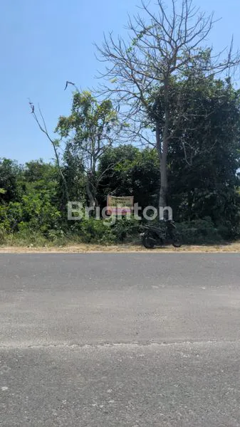 image DI SEWAKAN TANAH  (2)