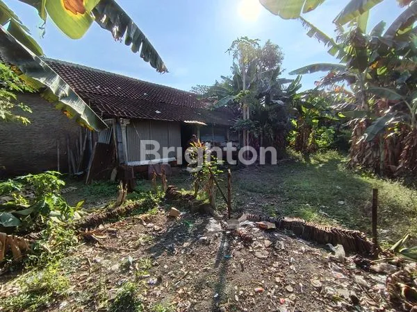 image DIJUAL BANGUNAN MURAH, LUAS DAN SRATEGIS DI PINGGIR JALAN BESAR BEKONANG, SANGAT COCOK UNTUK RUKO, KANTOR DAN RUMAH TINGGAL, DSB (6)