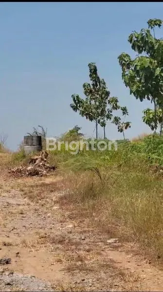 image LAHAN PINGGIR JALAN UTAMA (4)