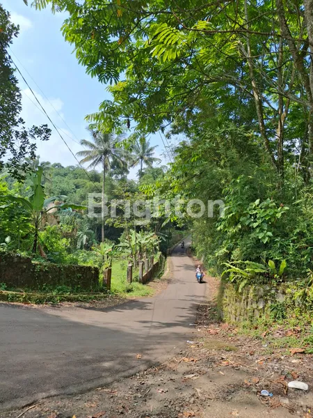 image TANAH STRATEGIS PROSPEK INVEST DEKAT TOL SKBM 5325 M2 (1)