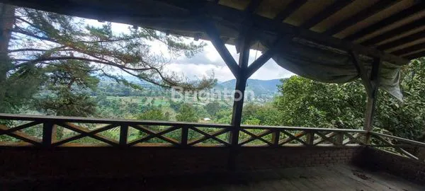 image VILLA DI BERASTAGI (3)