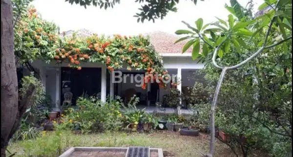 image KEMANG JAKARTA SELATAN (2)