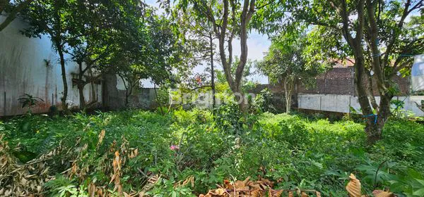 image TANAH STRATEGIS, SIAP BANGUN DI UNGARAN TIMUR DEKAT EXIT TOL (1)