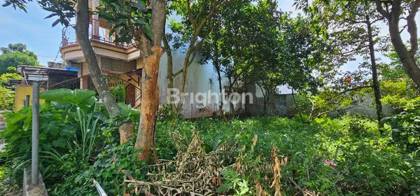 image TANAH STRATEGIS, SIAP BANGUN DI UNGARAN TIMUR DEKAT EXIT TOL (2)