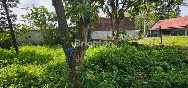 image TANAH STRATEGIS, SIAP BANGUN DI UNGARAN TIMUR DEKAT EXIT TOL (5)