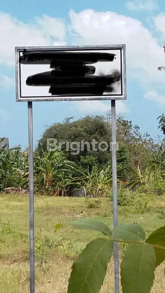 image TANAH POTENSIAL 18 ARE DI JALAN KARANG MAS JIMBARAN (3)