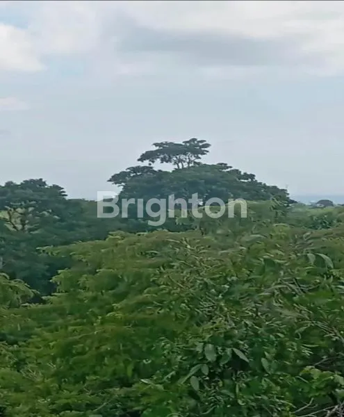 image TANAH SEWA KUTUH DEKAT PANTAI PANDAWA (1)