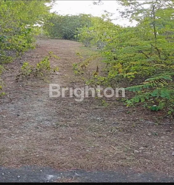 image TANAH SEWA KUTUH DEKAT PANTAI PANDAWA (2)