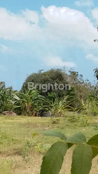 image TANAH PREMIUM DI JIMBARAN KARANG MAS  (2)