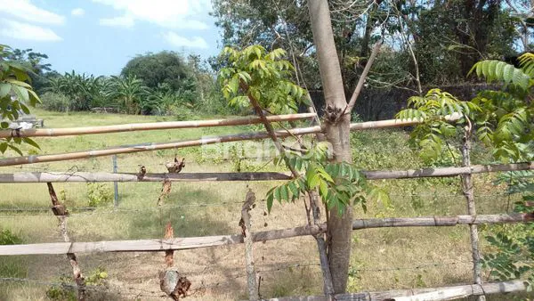 image TANAH PREMIUM DI JIMBARAN KARANG MAS  (1)