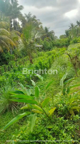 image TANAH MURAH TABANAN (1)