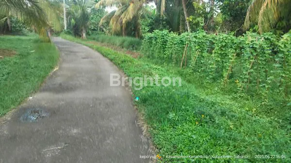 image TANAH MURAH TABANAN (4)