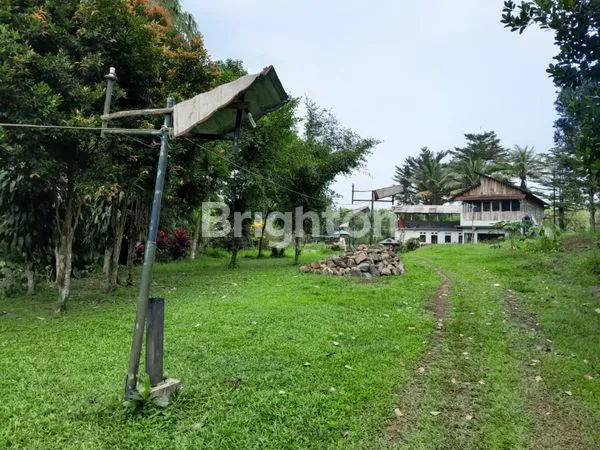 image TANAH LUAS 6389M² PLUS RUMAH DI JALAN RAYA CIOMAS BOGOR (2)