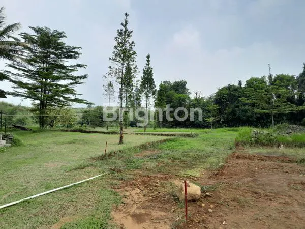 image TANAH LUAS 6389M² PLUS RUMAH DI JALAN RAYA CIOMAS BOGOR (8)