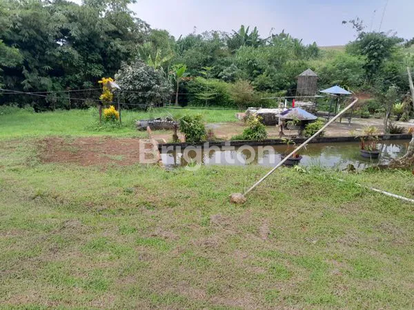 image TANAH LUAS 6389M² PLUS RUMAH DI JALAN RAYA CIOMAS BOGOR (4)