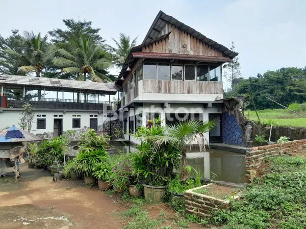 image TANAH LUAS 6389M² PLUS RUMAH DI JALAN RAYA CIOMAS BOGOR (3)