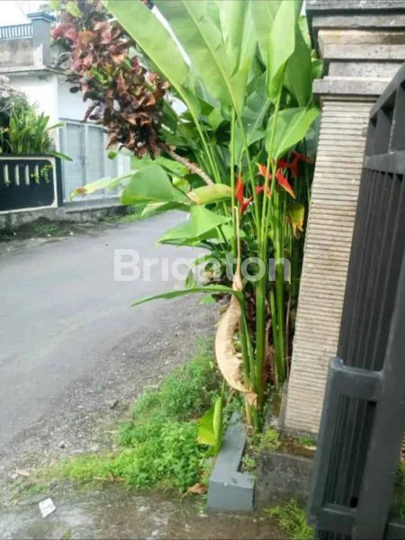 image RUMAH  4 KT 3 KM , TANAH 100M2 , BANGUNAN 150 M2 DENPASAR UTARA (3)