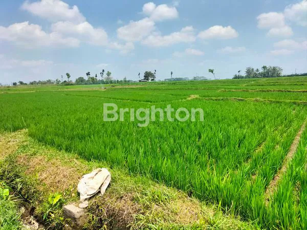 image SAWAH PENGAIRAN MELIMPAH NGADIREJO GUNUNG KAWI KEC KROMENGAN. (2)