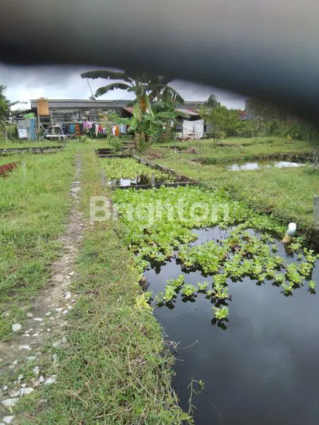 image LAWE-LAWE TANAH LUAS 799 M2 DIJUAL CEPAT HARGA SANGAT TERJANGKAU (7)