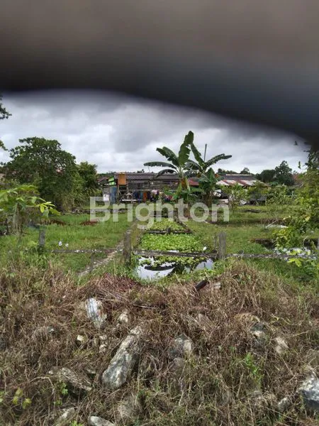 image LAWE-LAWE TANAH LUAS 799 M2 DIJUAL CEPAT HARGA SANGAT TERJANGKAU (4)