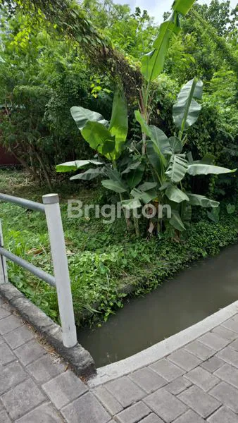 image JUAL TANAH TIBUBENENG CANGGU LOKASI SANGAT STRATEGIS (5)