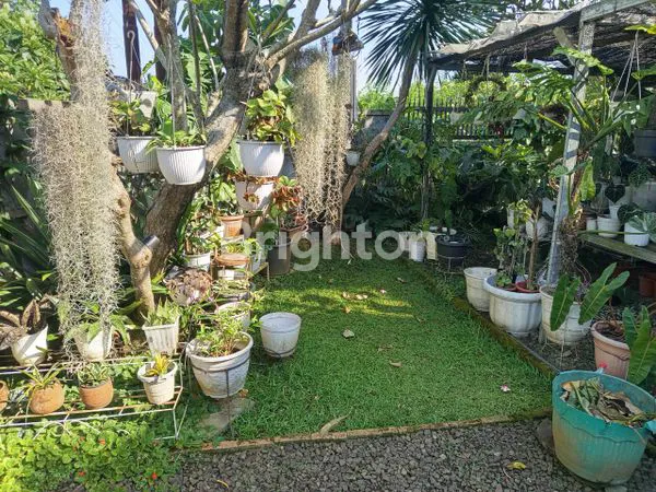 image RUMAH ASRI DAN  STRATEGIS DI KOTA BOGOR (6)