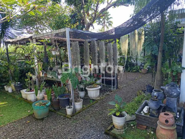 image RUMAH ASRI DAN  STRATEGIS DI KOTA BOGOR (7)
