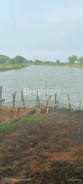 image DIJUAL TAMBAK UDANG VANAME DAN BANDENG (2)