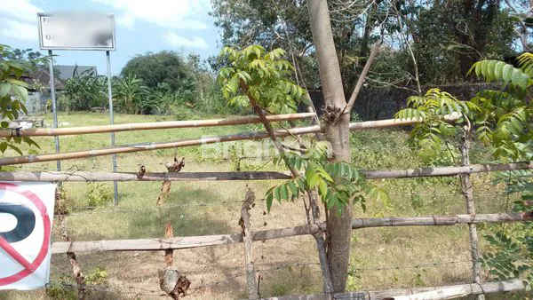 image JUAL ATAU SEWA TANAH DI JIMBARAN  (1)