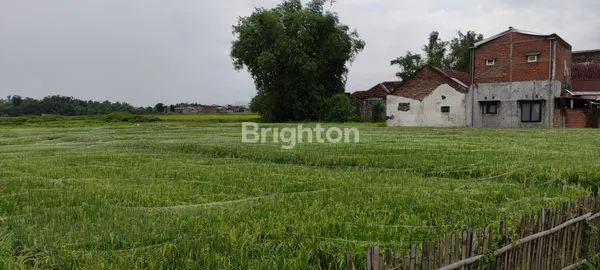 image TANAH KAVLING DI BULU TANGKIS MALANG (2)