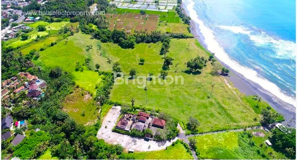 image BEACHFRONT LAND IN SABA, GIANYAR (5)