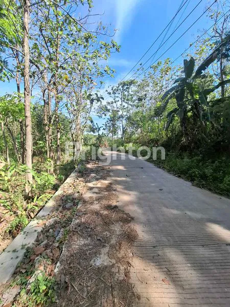 image LAHAN 10 HEKTAR DI SEMARANG, COCOK INDUSTRI (1)