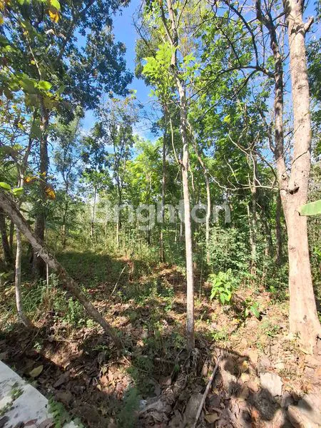 image LAHAN 10 HEKTAR DI SEMARANG, COCOK INDUSTRI (3)