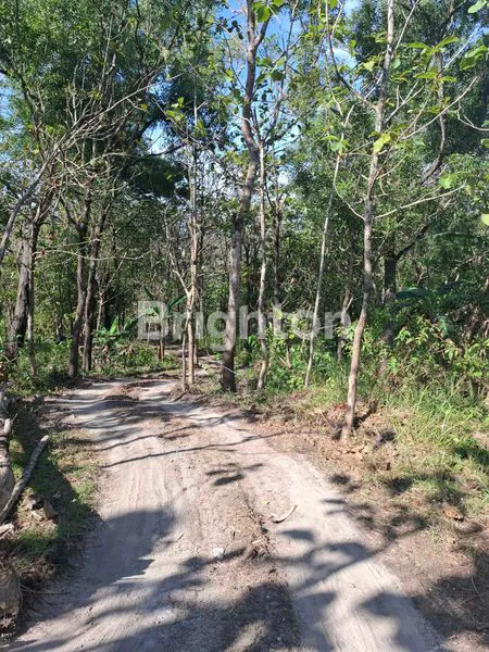 image LAHAN 10 HEKTAR DI SEMARANG, COCOK INDUSTRI (5)