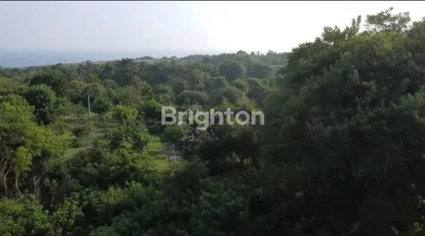 image TANAH SEWA KUTUH 200M² DEKAT PANTAI (4)