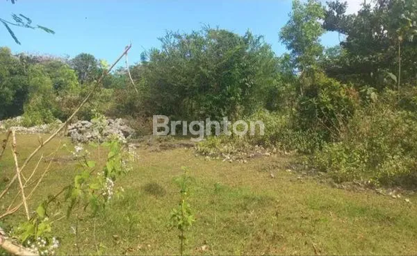 image TANAH SEWA UNGASAN DEKAT PANTAI KARMA (2)