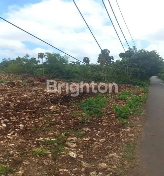 image TANAH SEWA UNGASAN DEKAT PANTAI KARMA (3)