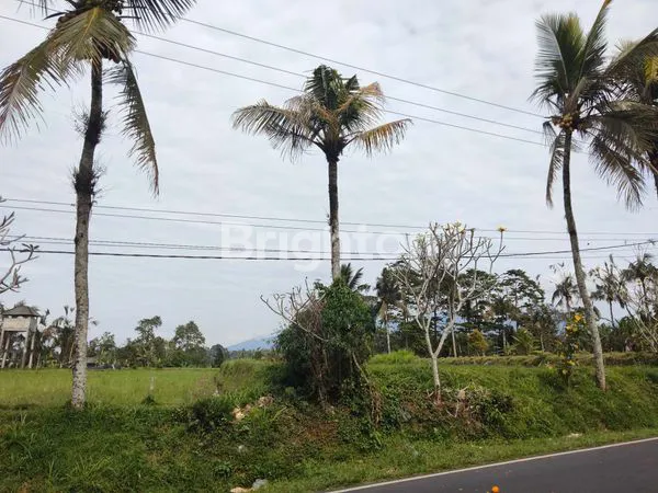 image DIJUAL RUMAH STEEL BALI, LOKASI PINGGIR JALAN UTAMA, VIEW SAWAH DAN PEGUNUNGAN (8)