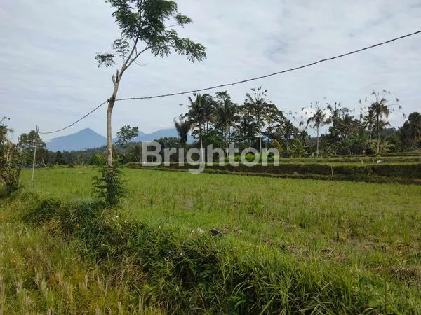 image DIJUAL RUMAH STEEL BALI, LOKASI PINGGIR JALAN UTAMA, VIEW SAWAH DAN PEGUNUNGAN (2)