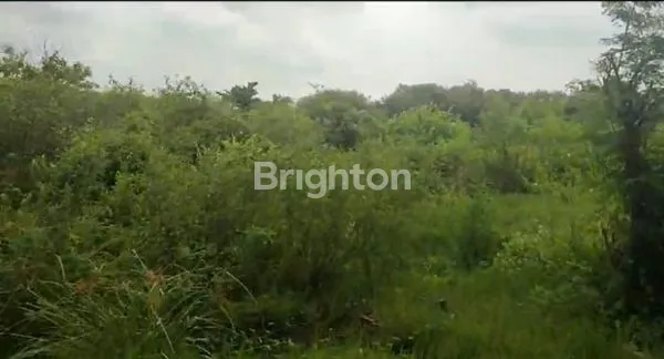 image TANAH KAVLING STRATEGIS DEKAT KOTA , COCOK UNTUK BANGUN RUMAH ATAU RUMAH USAHA  GUNUNG ANYAR SAWAH (4)