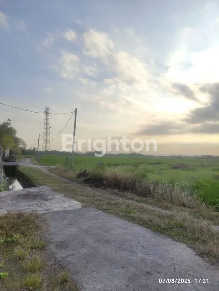 image TANAH ZONA PINK SELUAS 1000 M² DI PANTAI KELATING - TABANAN (3)