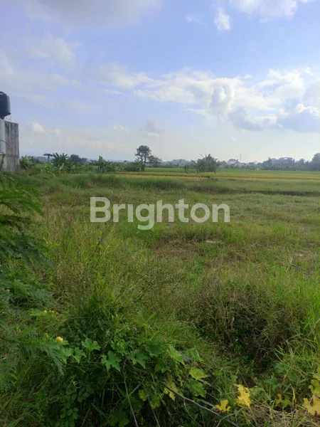 image TANAH ZONA PINK SELUAS 1000 M² DI PANTAI KELATING - TABANAN (2)