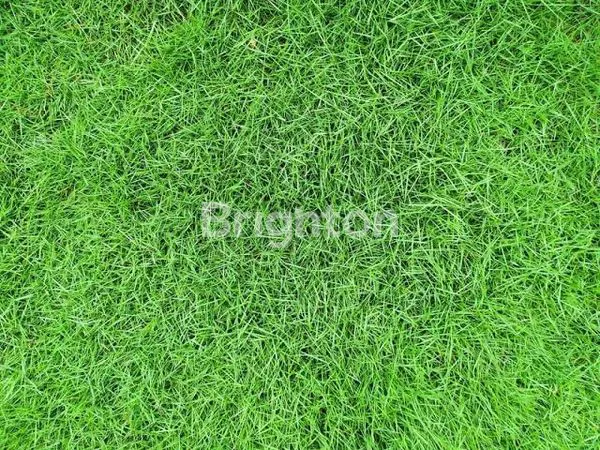 image GRAHA NATURA (1)