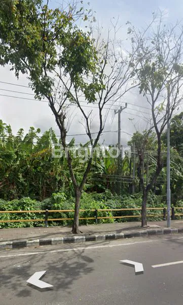 TANAH DISEWAKAN SUNSET ROAD BALI
