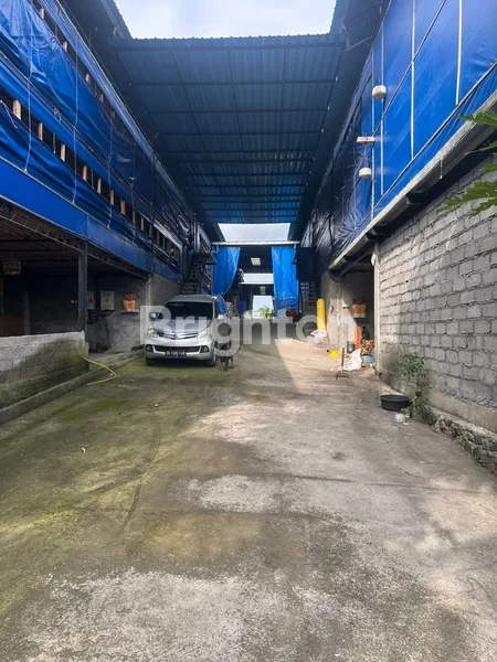 image JUAL KANDANG AYAM AKTIF OPERASI (1)