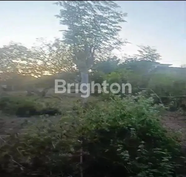 image TANAH KOSONG SAWANGAN NUSA DUA (5)