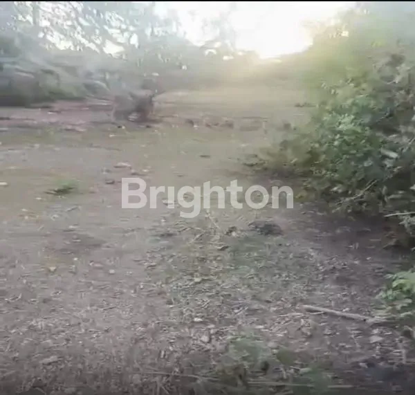 image TANAH KOSONG SAWANGAN NUSA DUA (3)