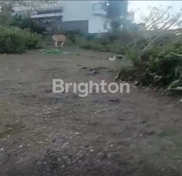 image TANAH KOSONG SAWANGAN NUSA DUA (1)